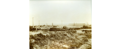 La glacerie de Mannheim-Waldhof, 1900