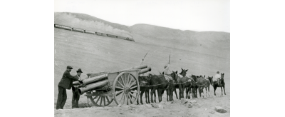 Transport par charrette de canalisations en fonte pour les travaux d'adduction des eaux d'Iquique au Chili dans les années 1920