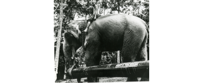 Pont-à-Mousson à Ceylan, 1958