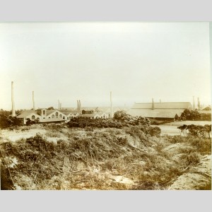 La glacerie de Mannheim-Waldhof, 1900