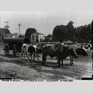 Transport de tuyaux par une charrette tirée par des bœufs à São Paulo au Brésil dans les années 1920