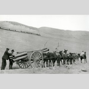 Transport par charrette de canalisations en fonte pour les travaux d'adduction des eaux d'Iquique au Chili dans les années 1920
