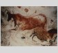 Reproduction des fresques de la grotte de Lascaux, 1983